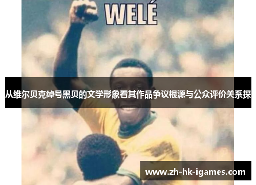 从维尔贝克绰号黑贝的文学形象看其作品争议根源与公众评价关系探