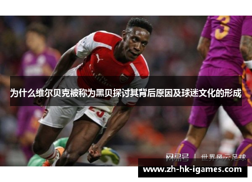 为什么维尔贝克被称为黑贝探讨其背后原因及球迷文化的形成 为什么维尔贝克被称为黑贝探讨其背后原因及球迷文化的形成