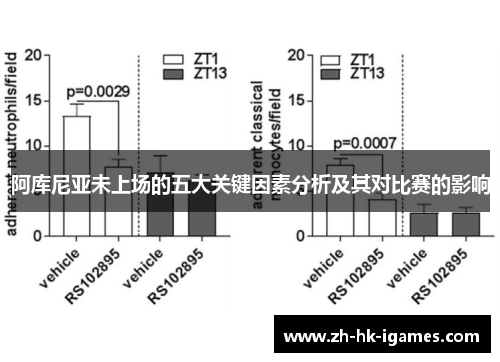 阿库尼亚未上场的五大关键因素分析及其对比赛的影响